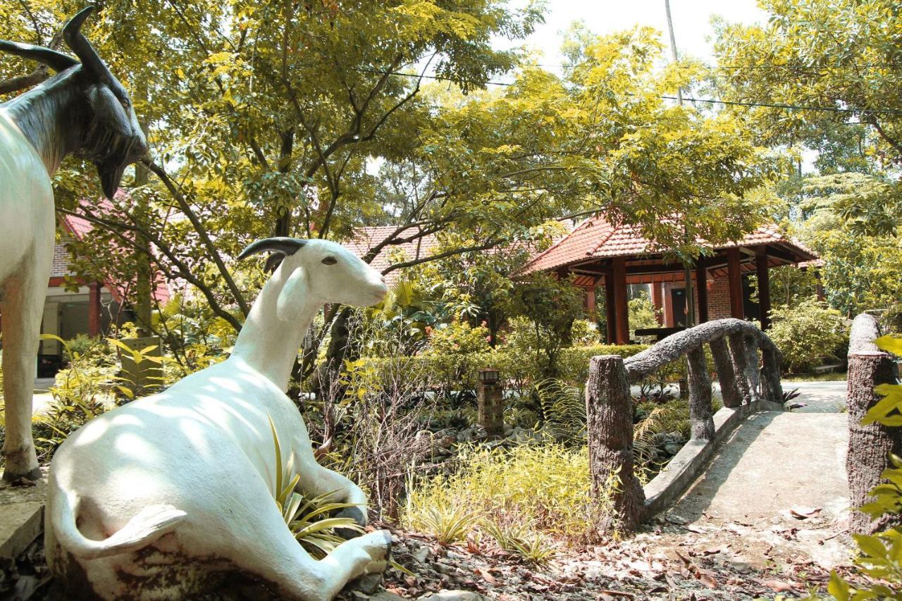נין בין Hang Mua Valley Homestay מראה חיצוני תמונה