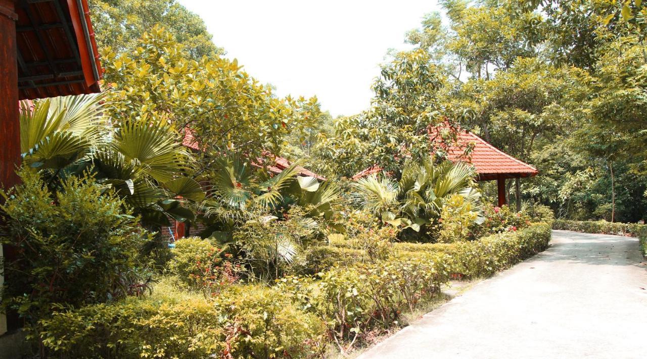 נין בין Hang Mua Valley Homestay מראה חיצוני תמונה